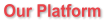 Our Platform